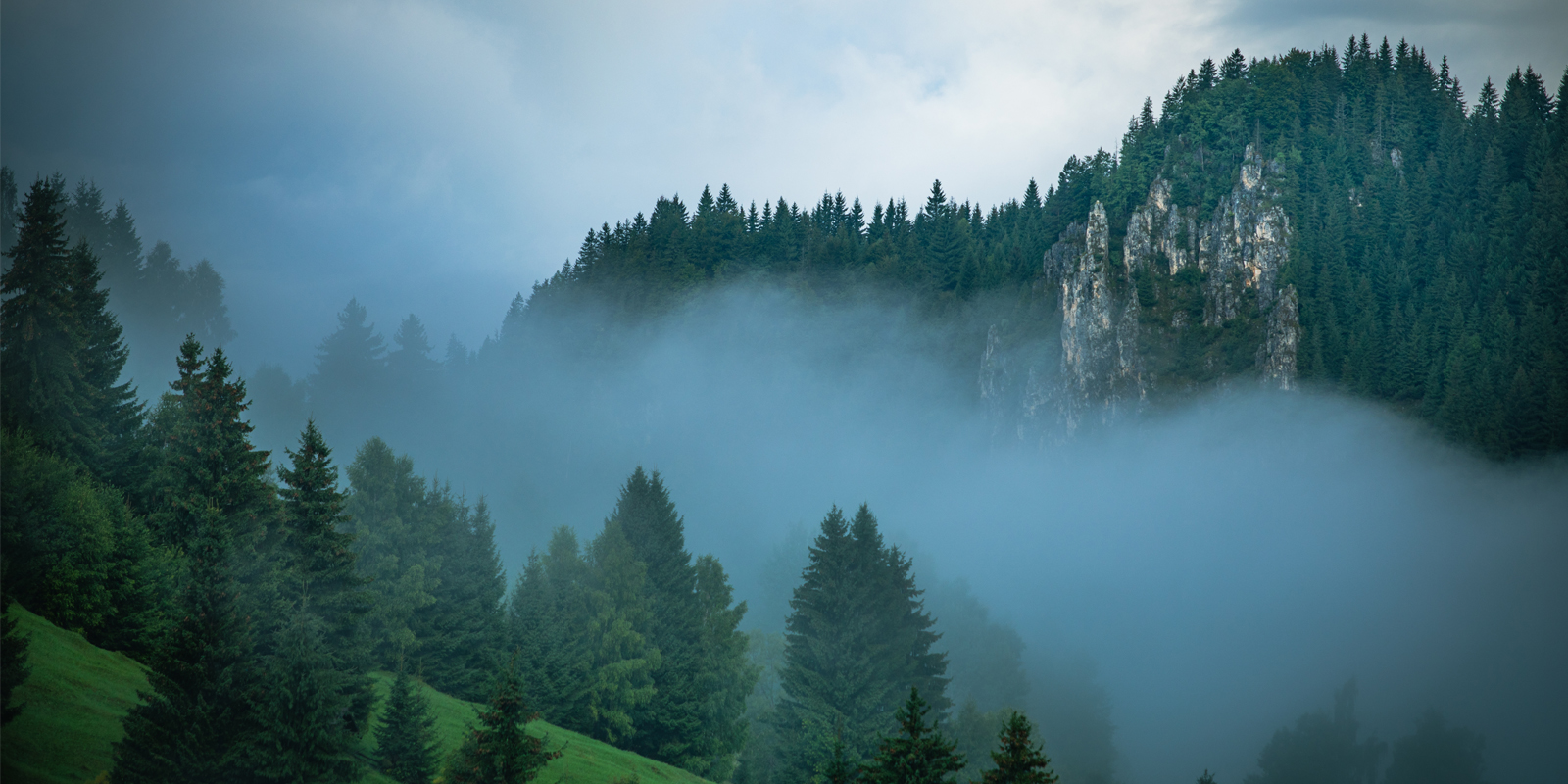 About Chail, Himachal Pradesh