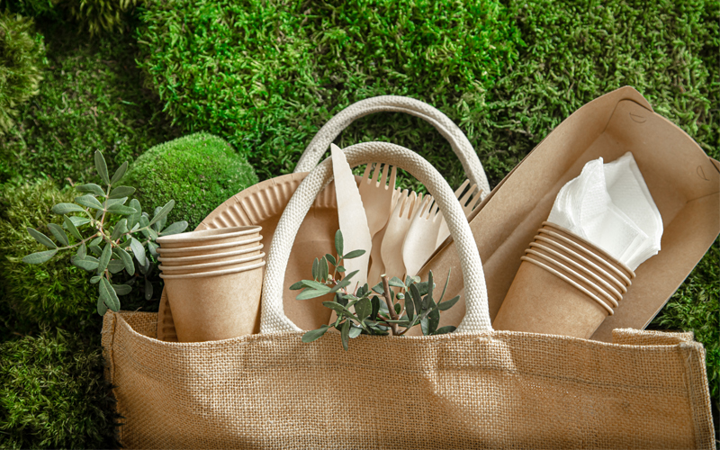 Ayurvyaas Chail - Eco-Friendly Practices Ayurvyaas Chail - Eco-Friendly Practices