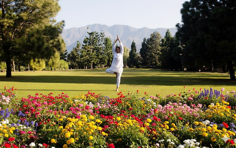 Ayurvyaas Intensive Wellness Programmes